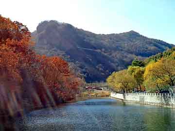 澳门天天彩期期精准平肖，chinabug